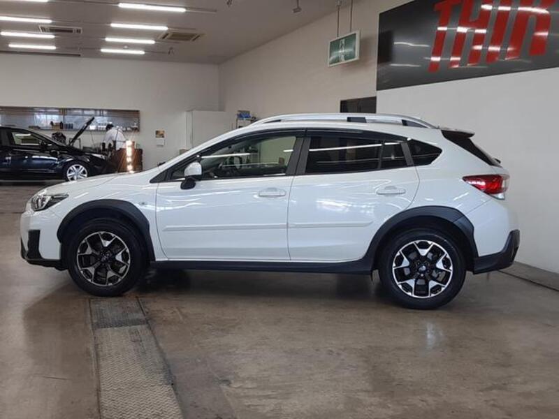 XV