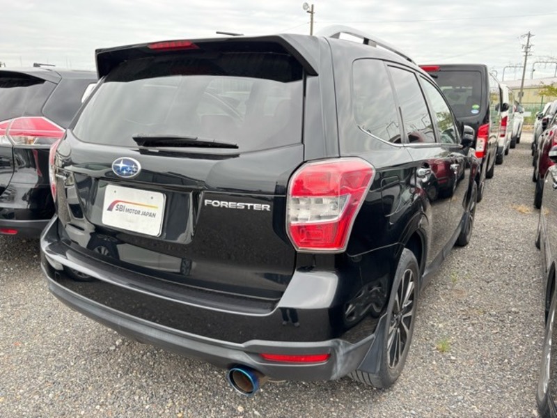 FORESTER