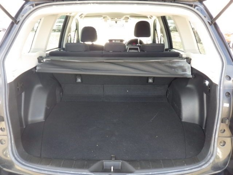 FORESTER