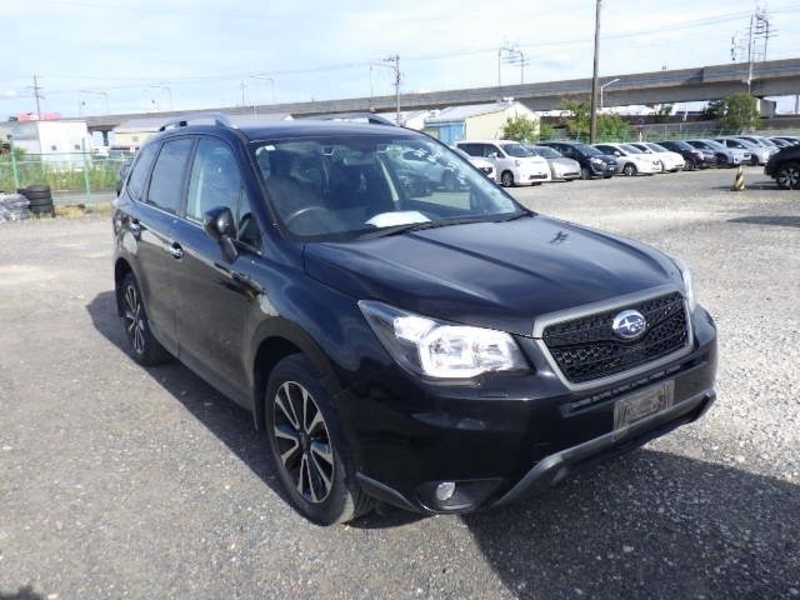 FORESTER