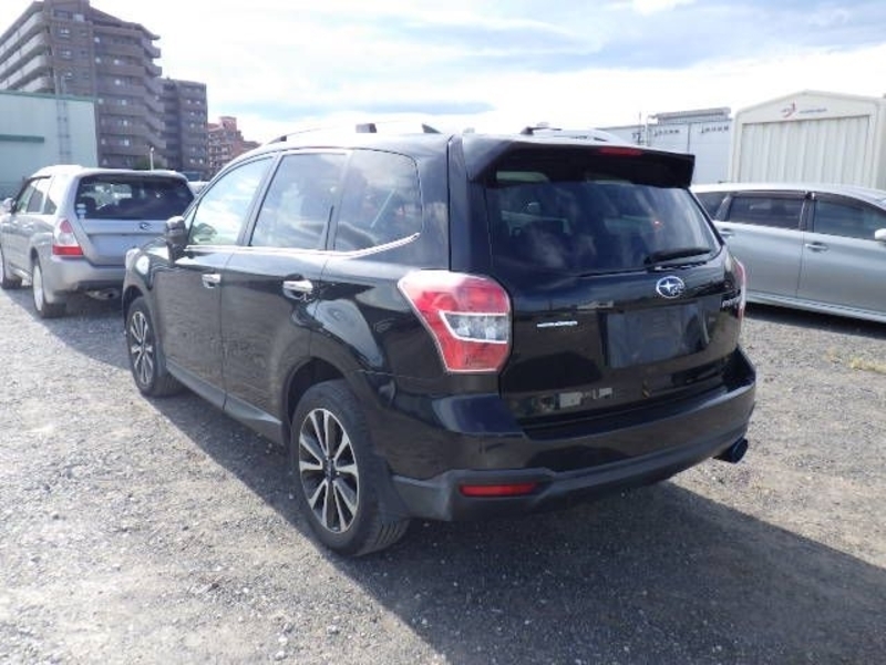 FORESTER