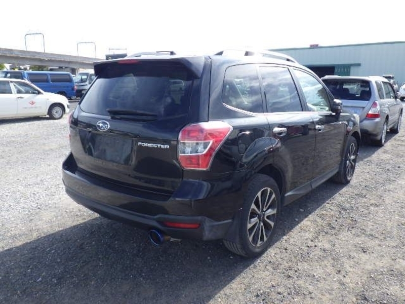 FORESTER