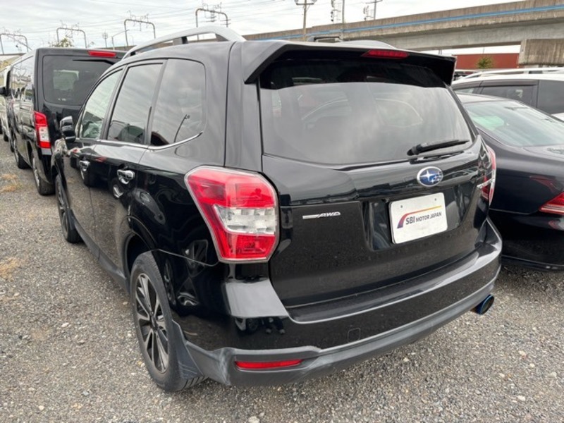 FORESTER