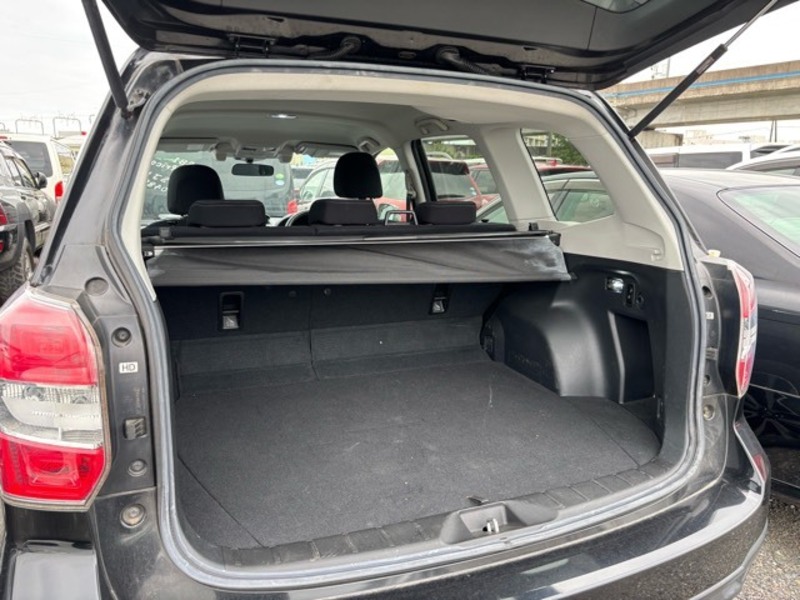 FORESTER