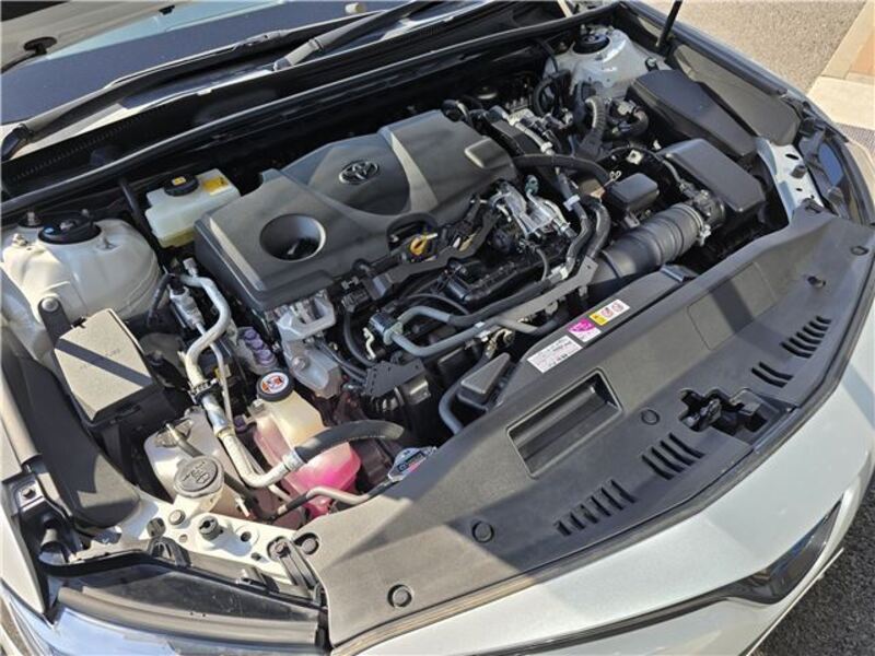 CAMRY