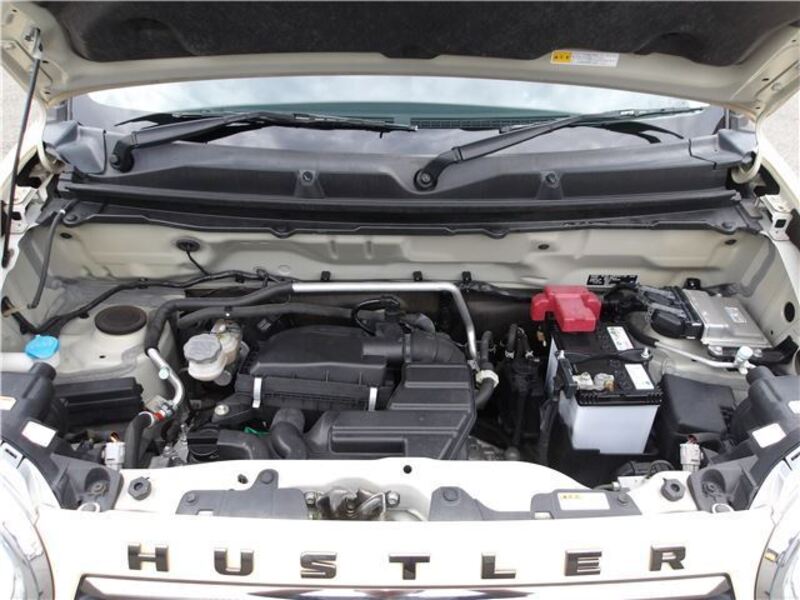 HUSTLER