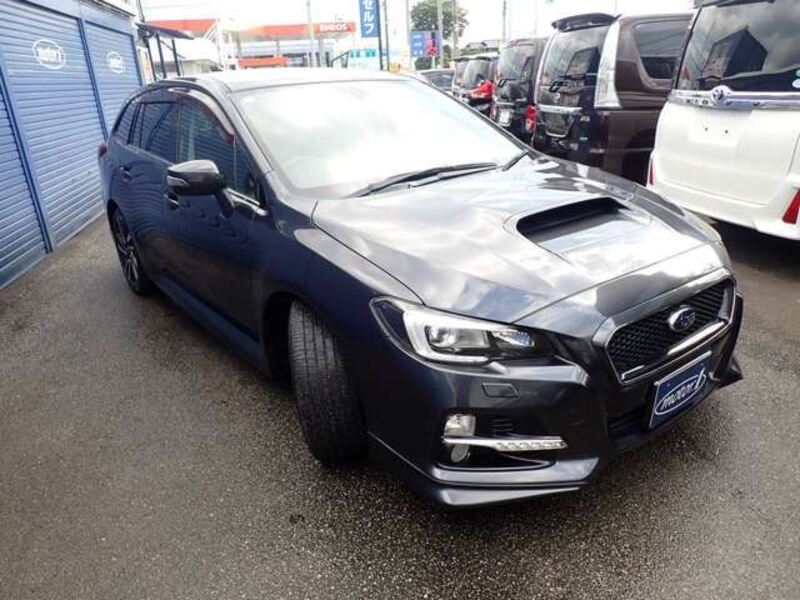 LEVORG
