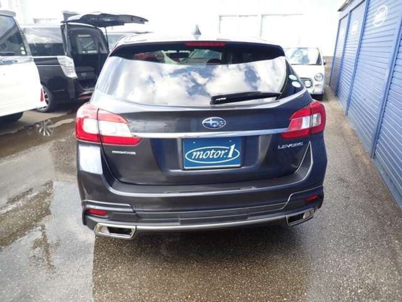LEVORG