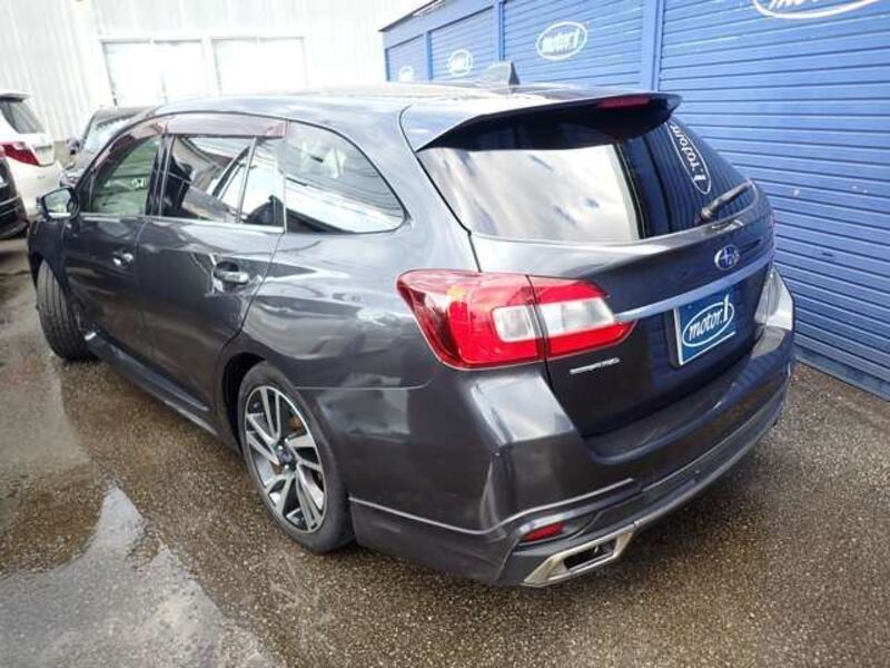 LEVORG