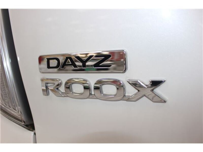 DAYZ ROOX