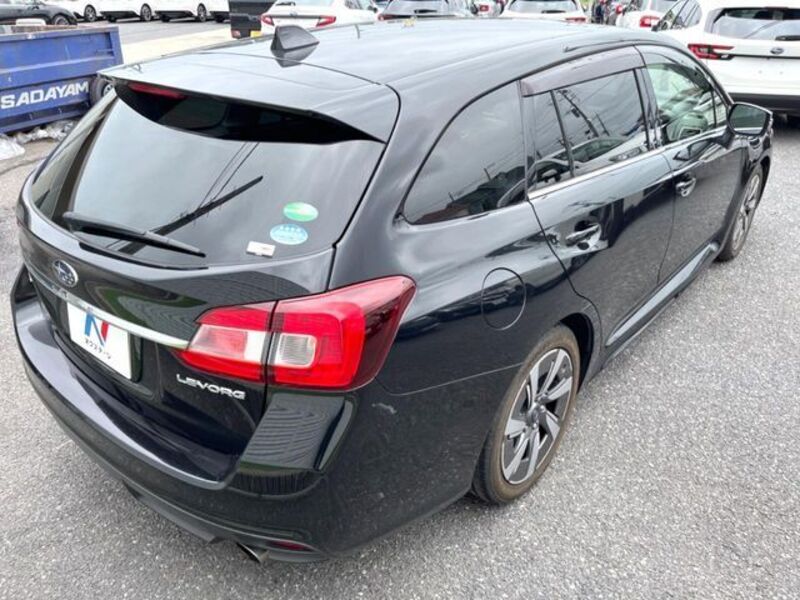 LEVORG