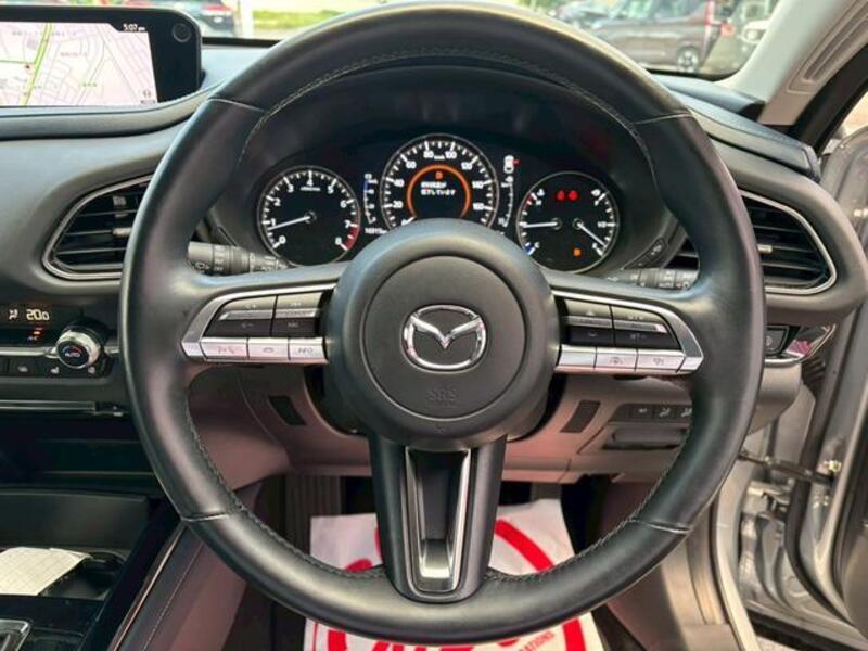CX-30