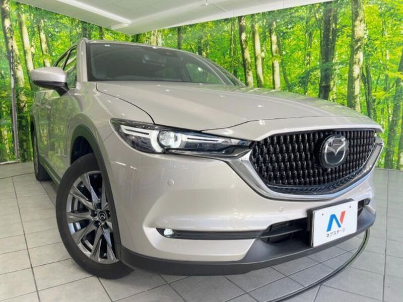 CX-8