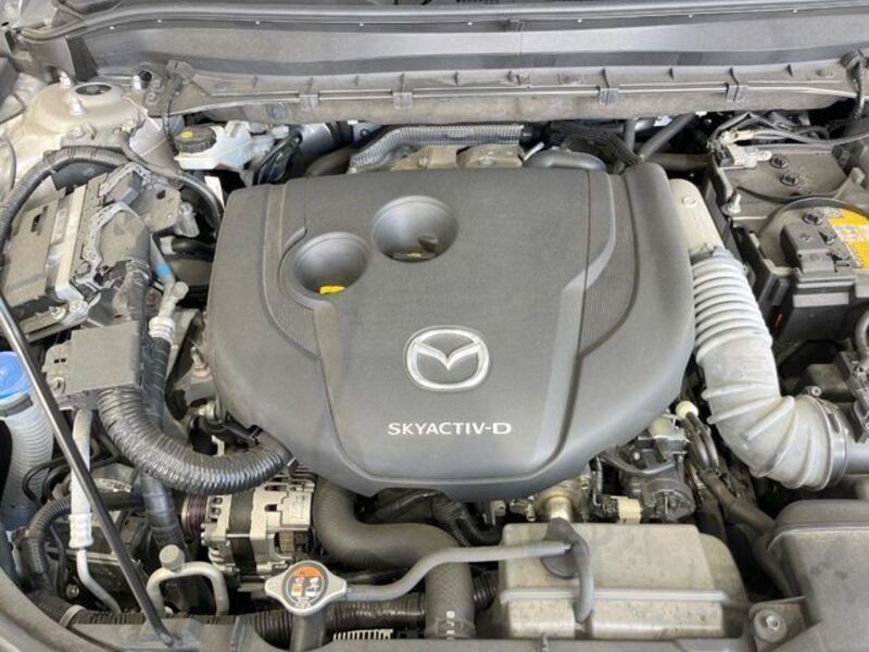 CX-8