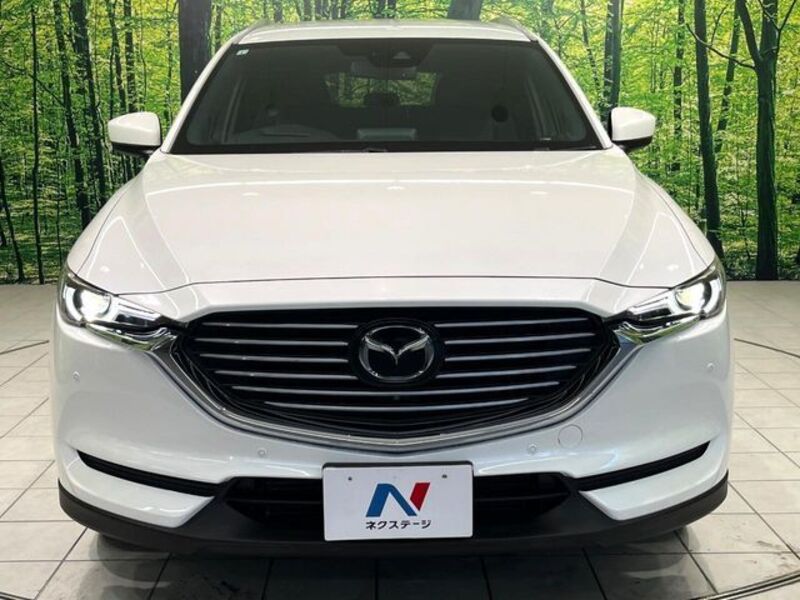 CX-8