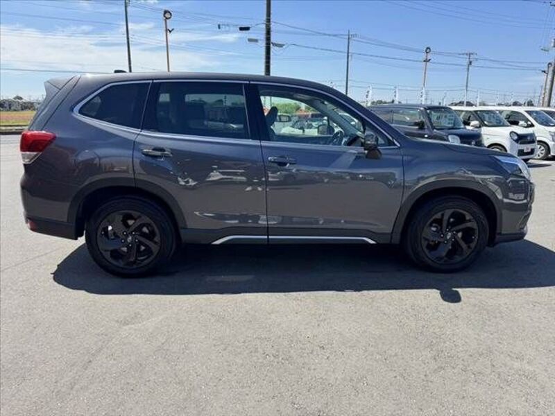 FORESTER