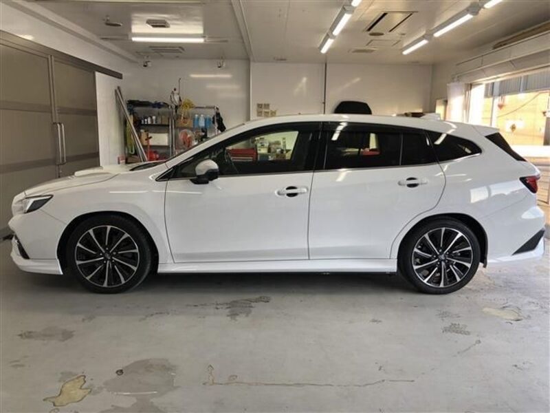 LEVORG