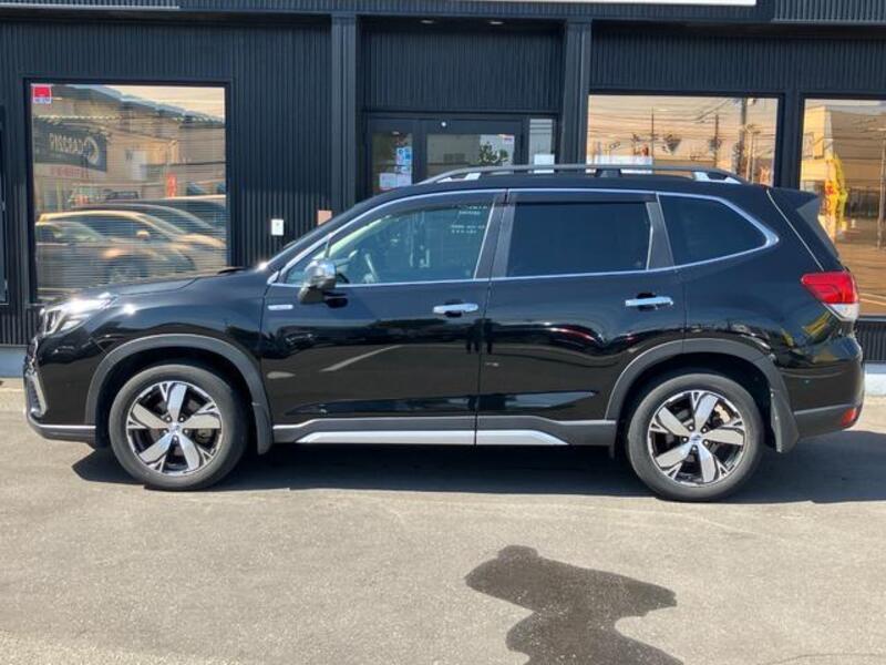 FORESTER