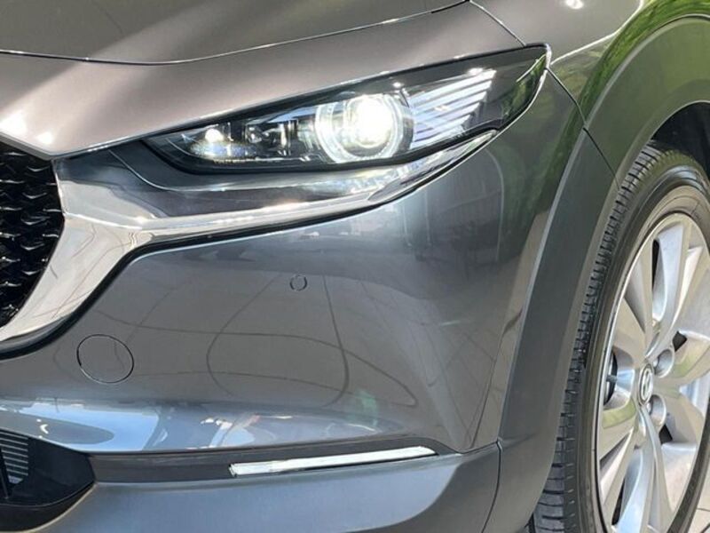 CX-30