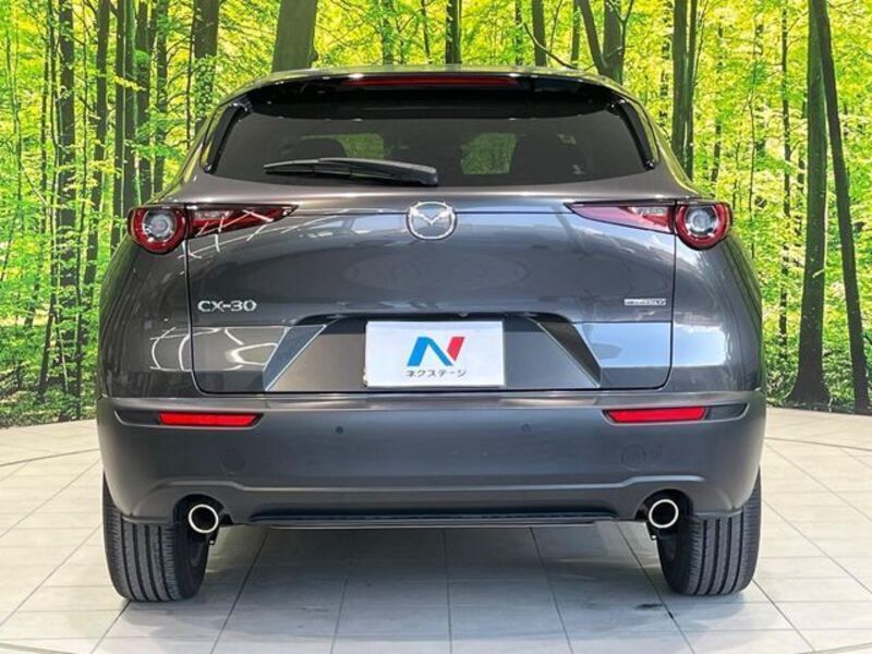 CX-30