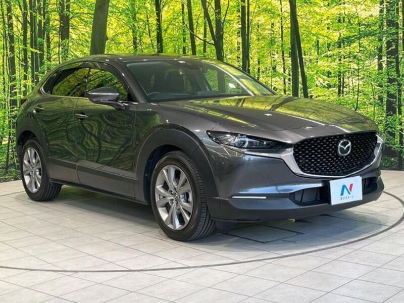 CX-30