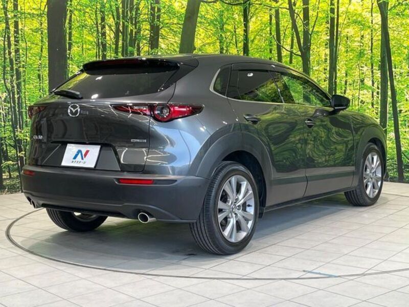 CX-30