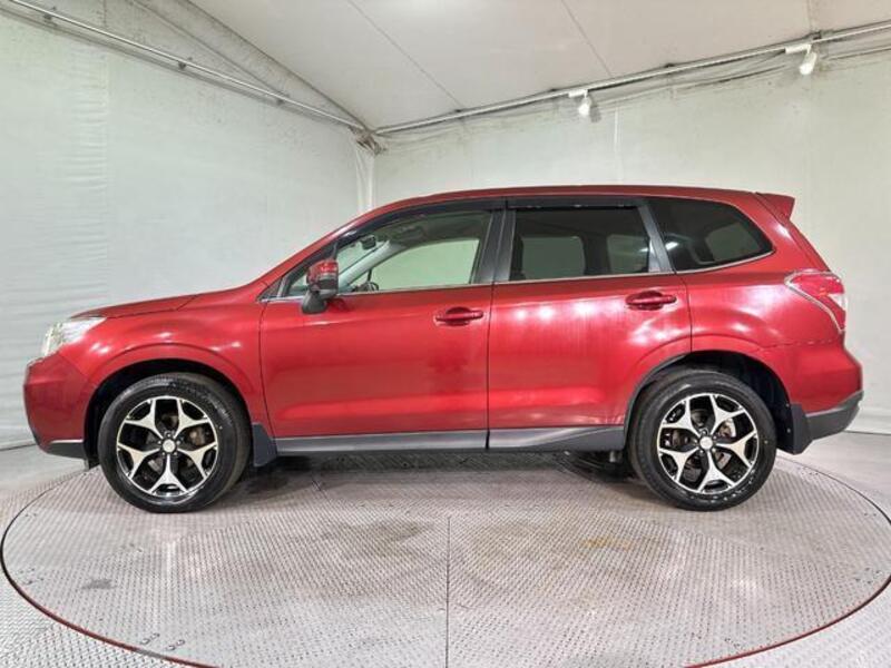 FORESTER