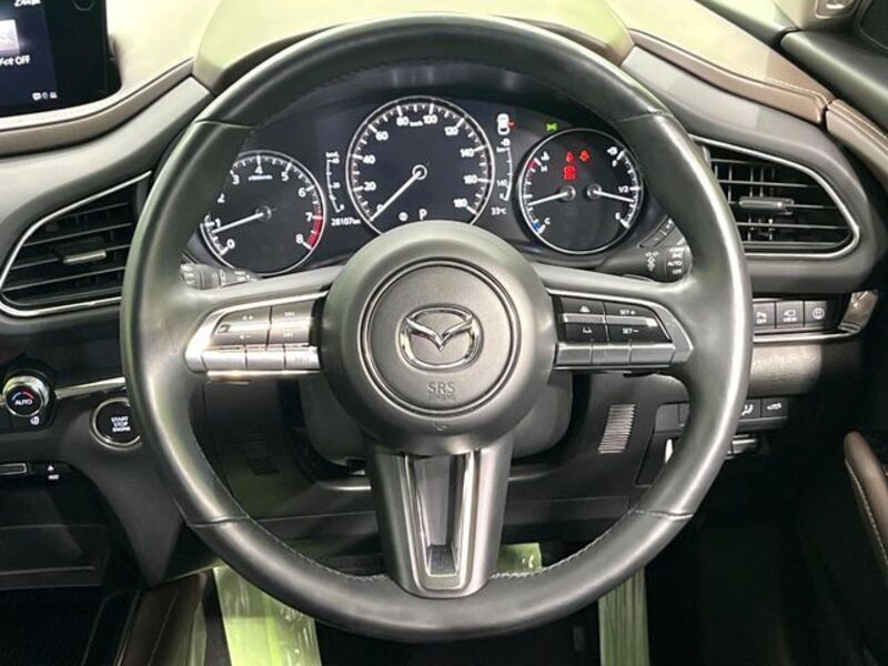 CX-30