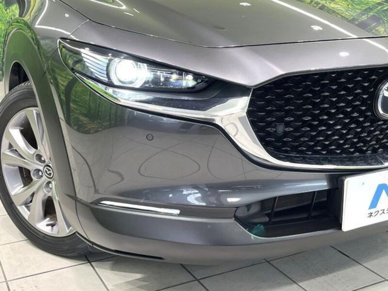 CX-30