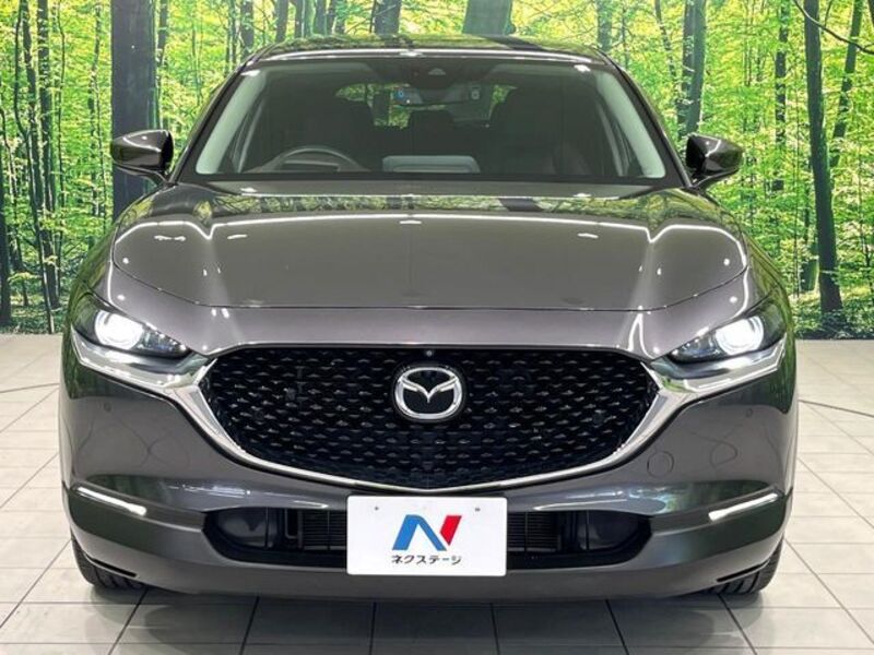 CX-30