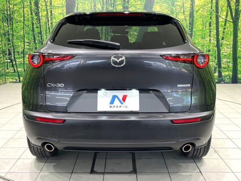 CX-30