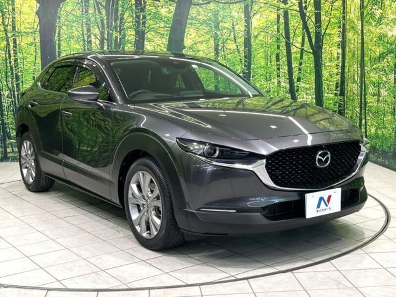 CX-30