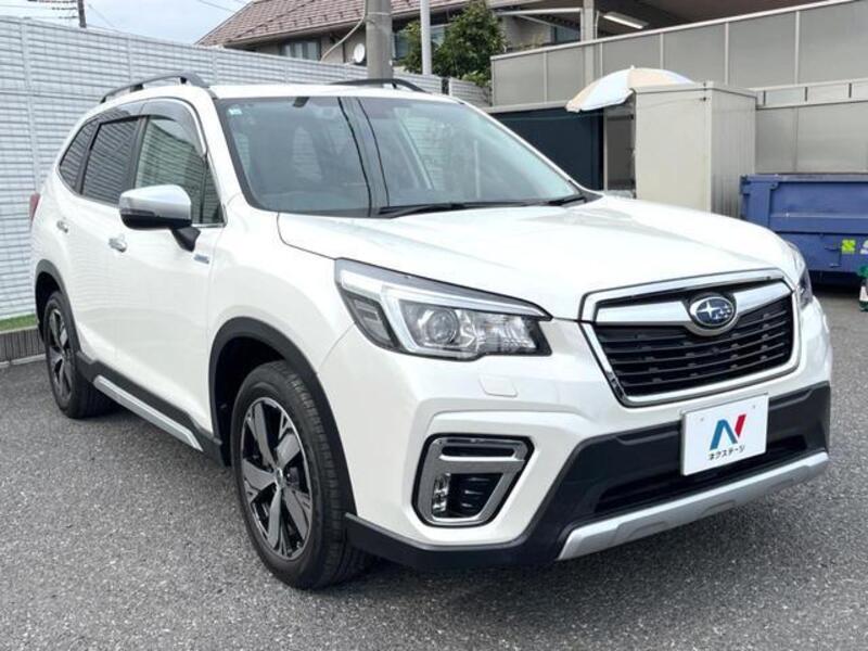 FORESTER
