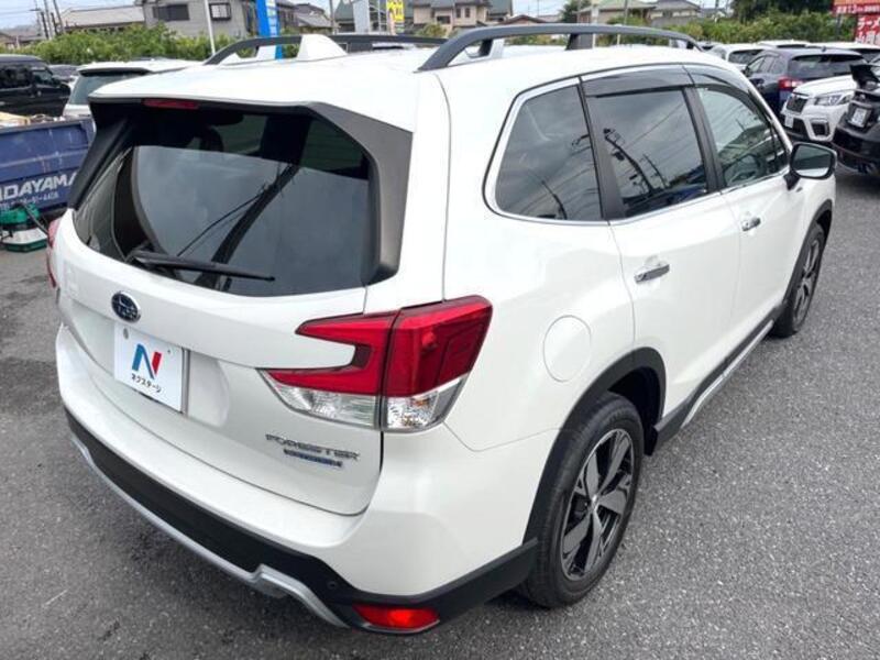 FORESTER