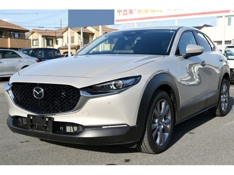 CX-30