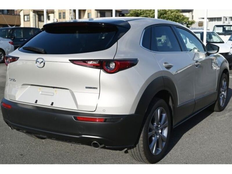 CX-30