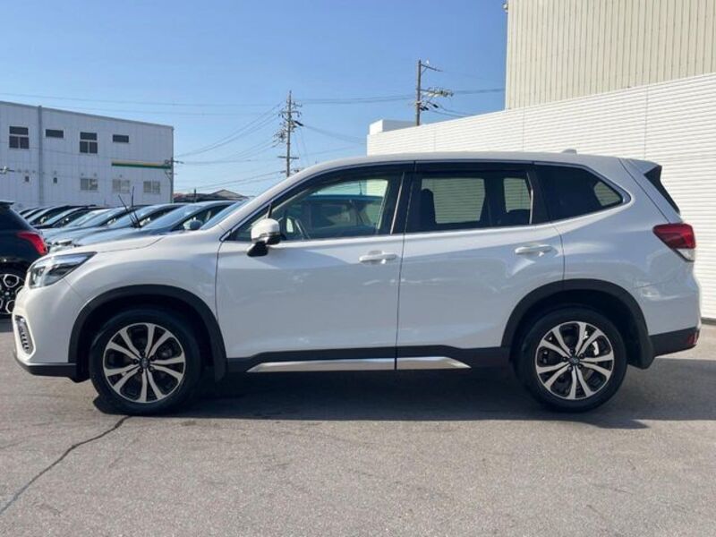 FORESTER