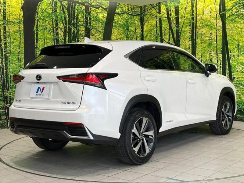 NX