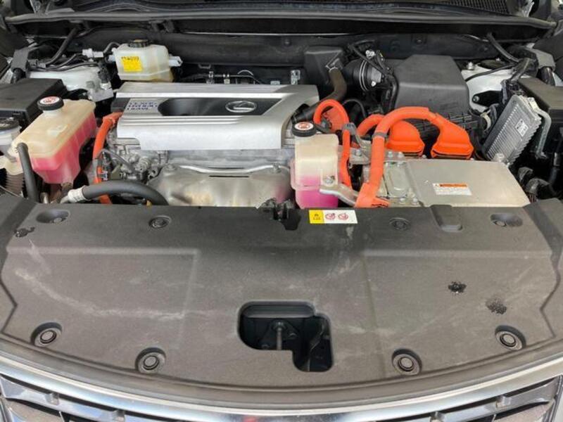 NX