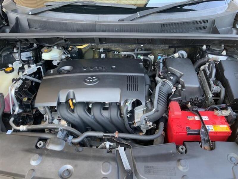 COROLLA RUMION