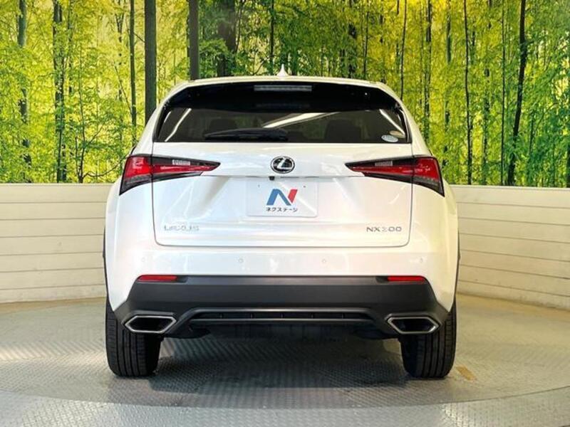 NX