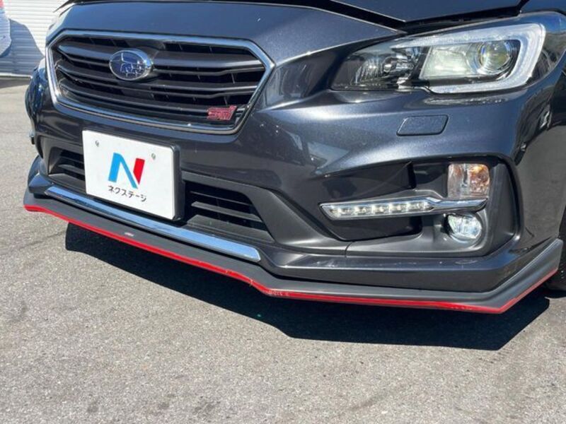 LEVORG