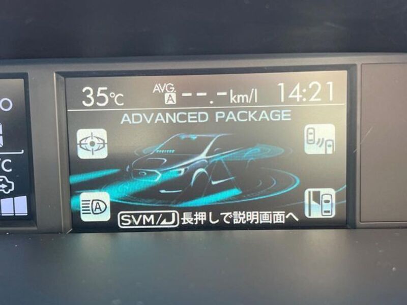 LEVORG