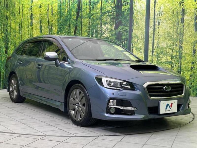 LEVORG