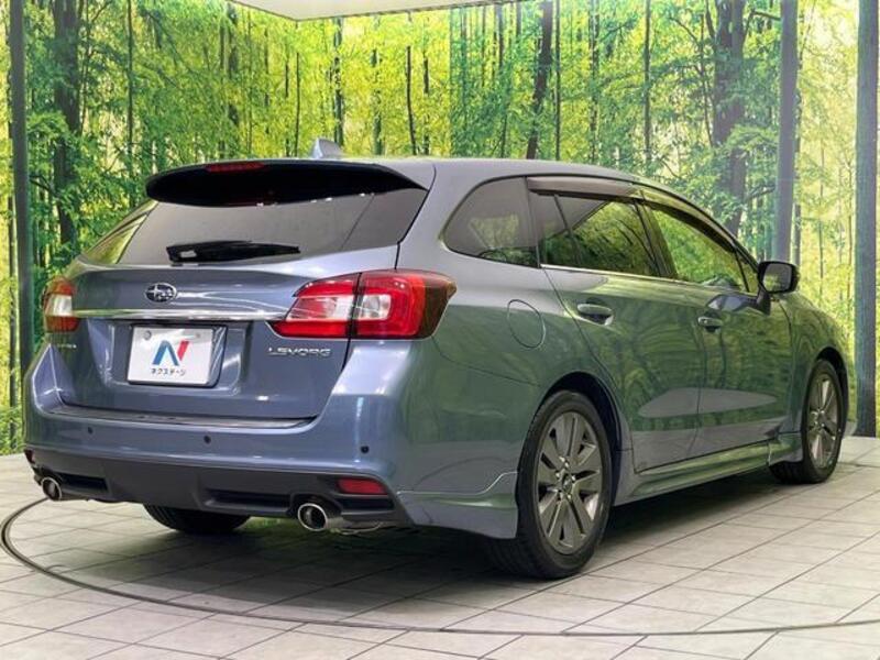 LEVORG