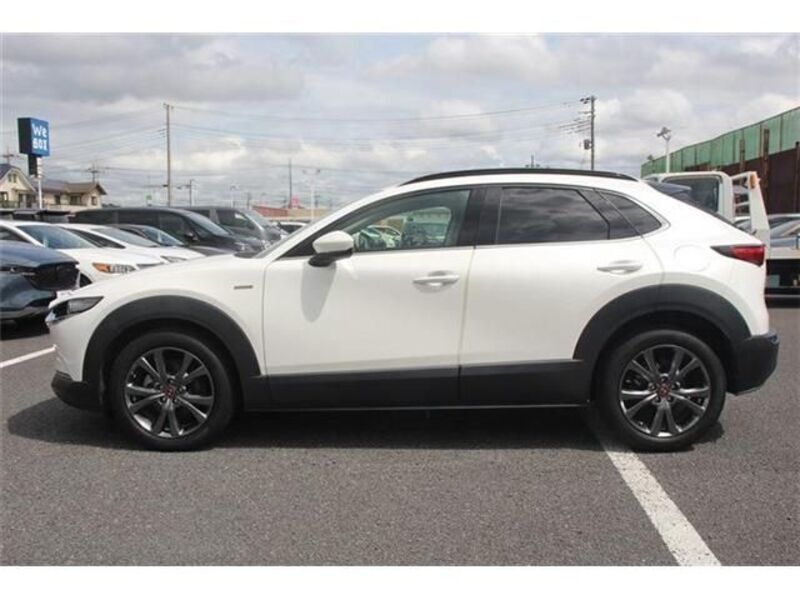 CX-30