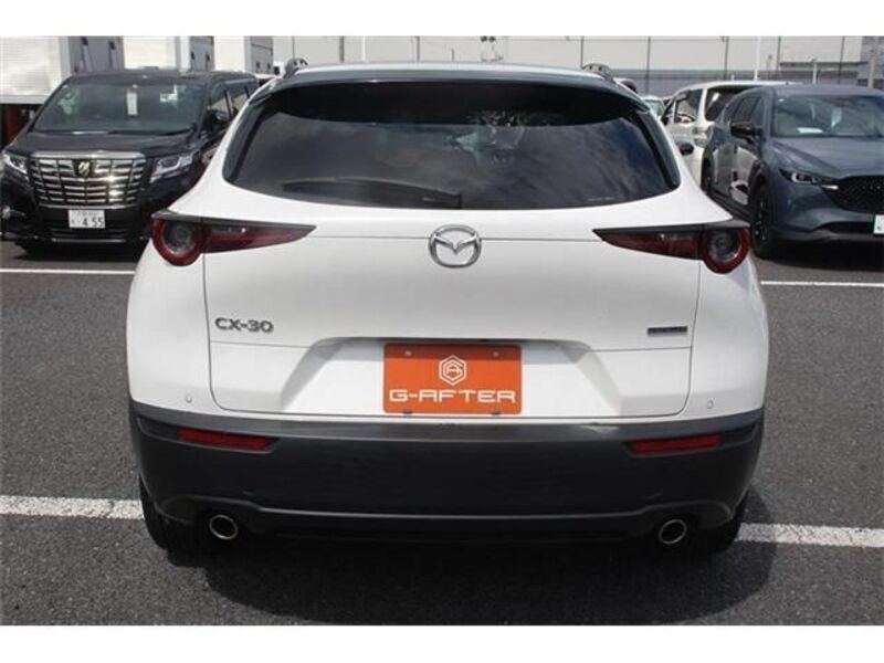 CX-30