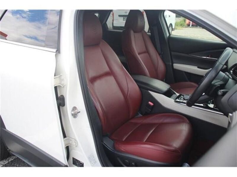 CX-30