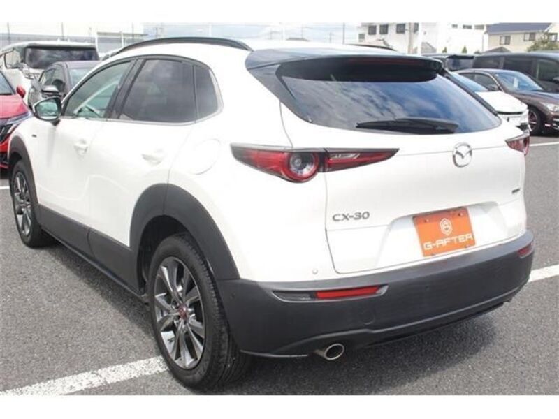 CX-30