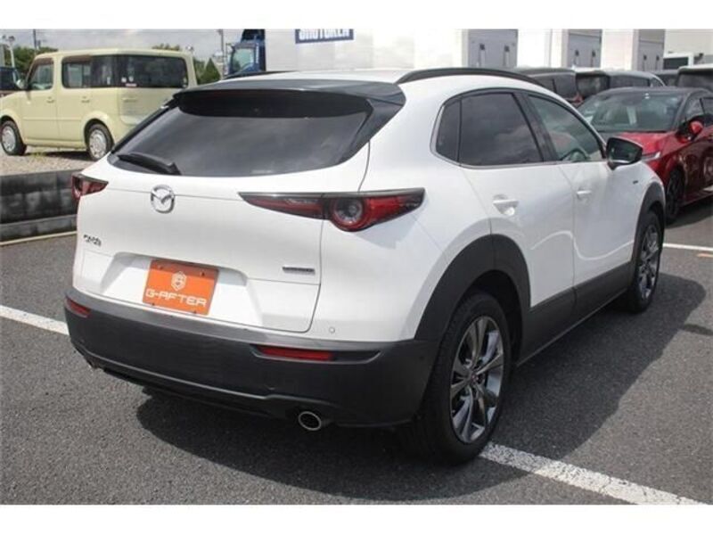 CX-30